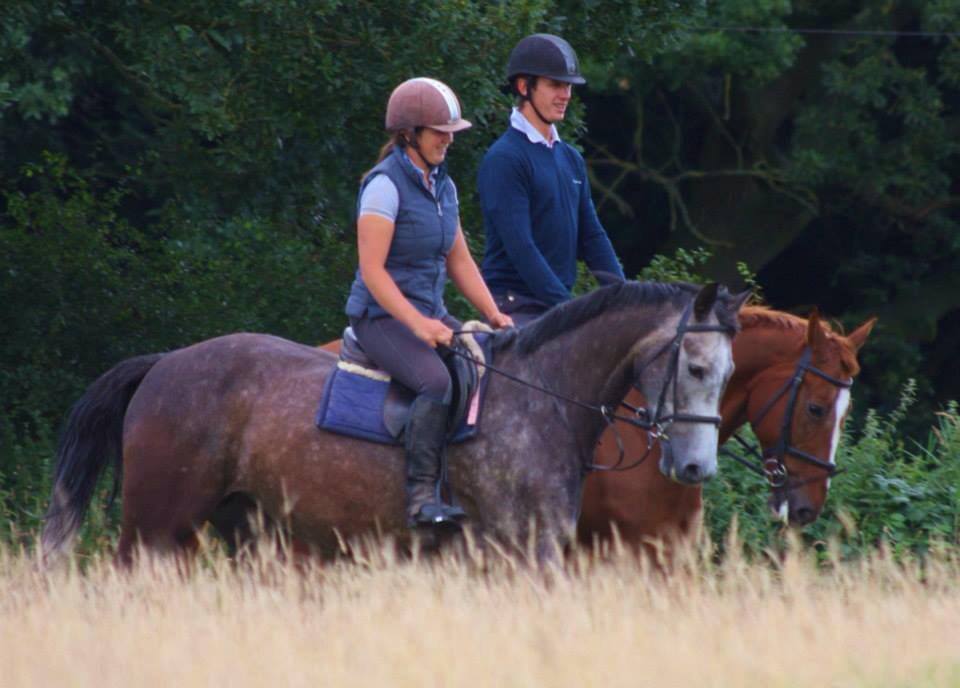 Foxmoss Sport Horses